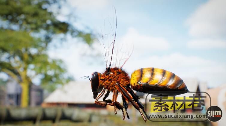 UE蜜蜂动画模型资源包Animalia - Honeybee