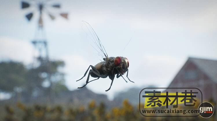 UE苍蝇动画模型素材包Animalia - Housefly