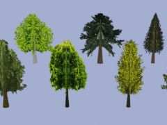 树木复古风格3D模型素材包