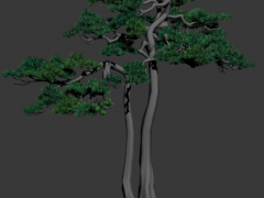 两棵3D松树模型