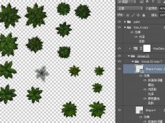 2Dpsd格式俯视角度灌木树叶游戏素材