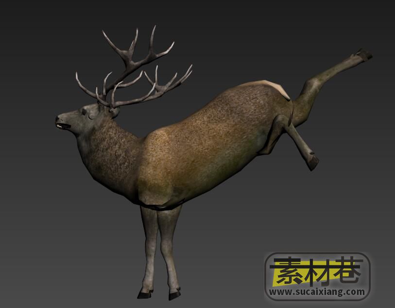 鹿动画3D模型