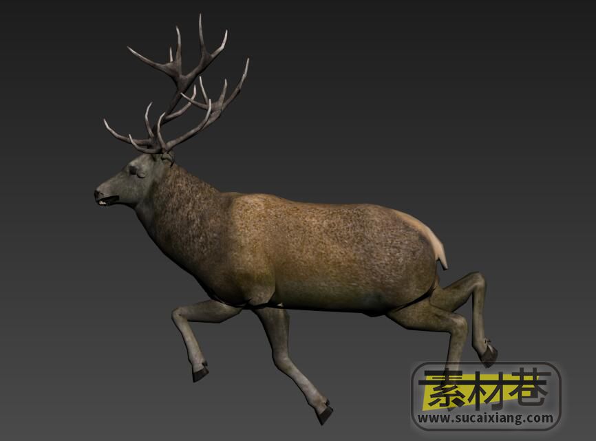 鹿动画3D模型