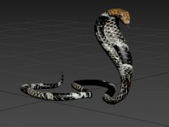 游戏眼镜王蛇3D模型