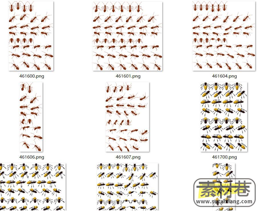8方向2D蚂蚁动画素材