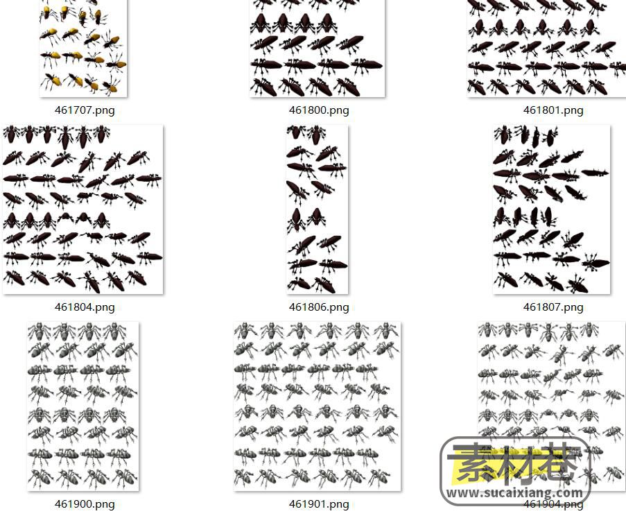 8方向2D蚂蚁动画素材