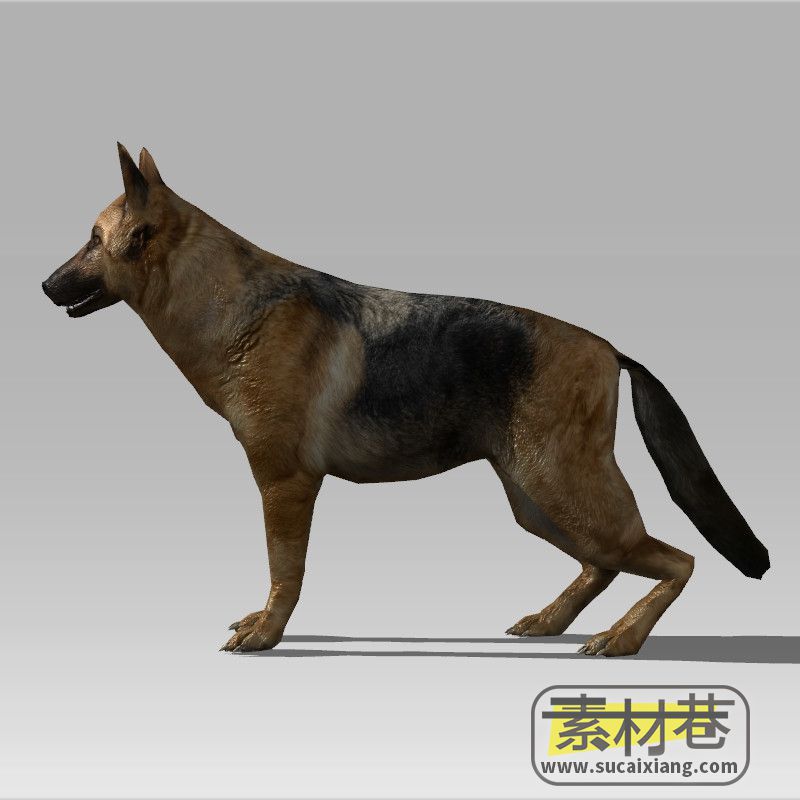 游戏牧羊犬动画3D模型