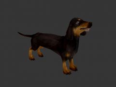游戏腊肠犬3D模型