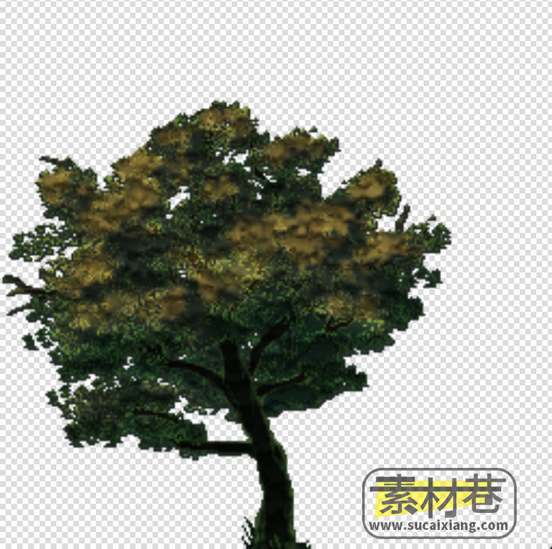 2D写实大树游戏素材