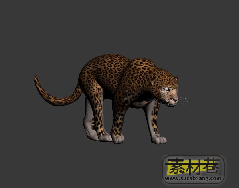 游戏猎豹3D模型