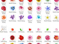 2d不同形状不同颜色花朵游戏素材