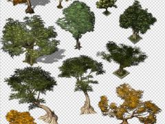 2D游戏枝叶茂盛的树木素材