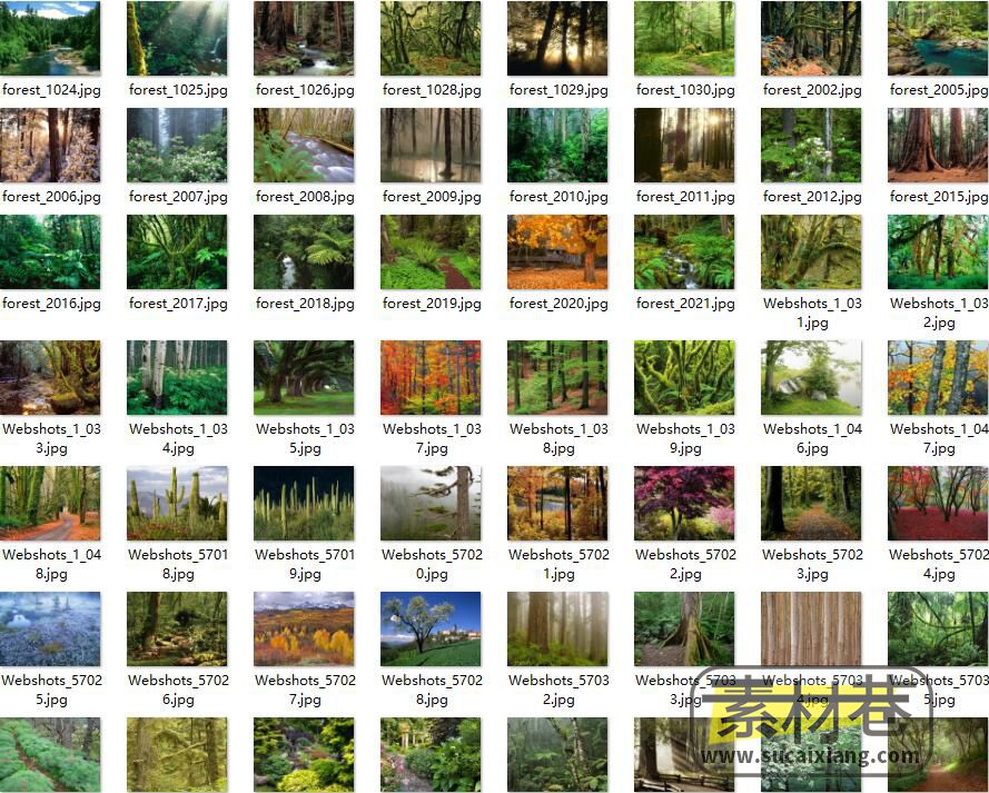 文字游戏各种野外森林植物大自然背景素材
